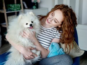 Caring for a Senior Dog at Home: A Complete Guide to Keeping Your Aging Dog Happy and Comfortable